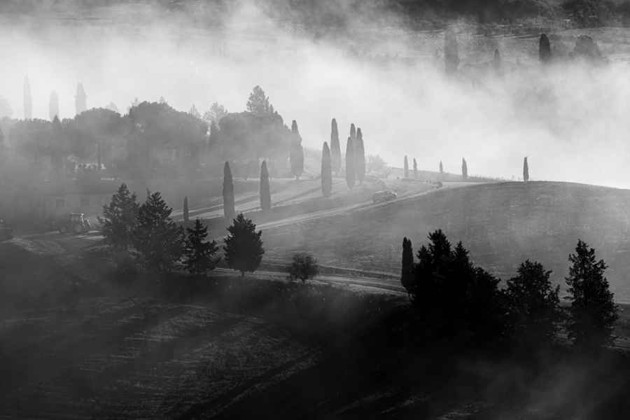 Clearing in the mist